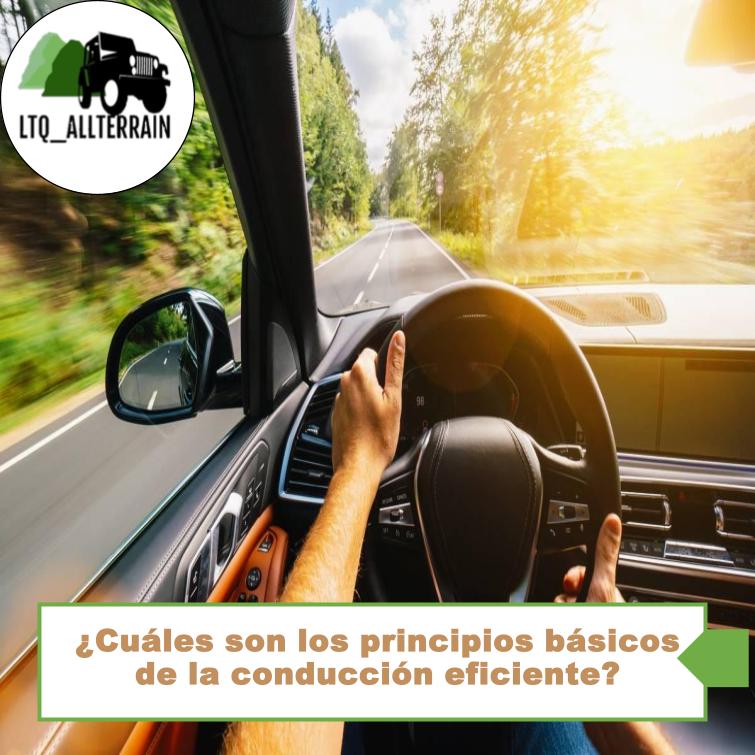 ¿Cuáles son los principios básicos de la conducción eficiente?